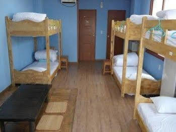 Joseph Tree Guest House Jeju Esterno foto