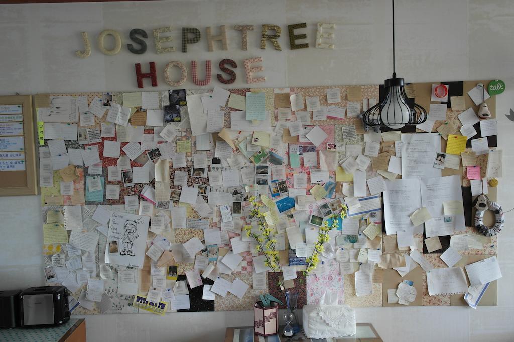 Joseph Tree Guest House Jeju Esterno foto